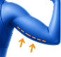 Arms