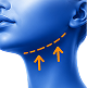 Chin & Neck